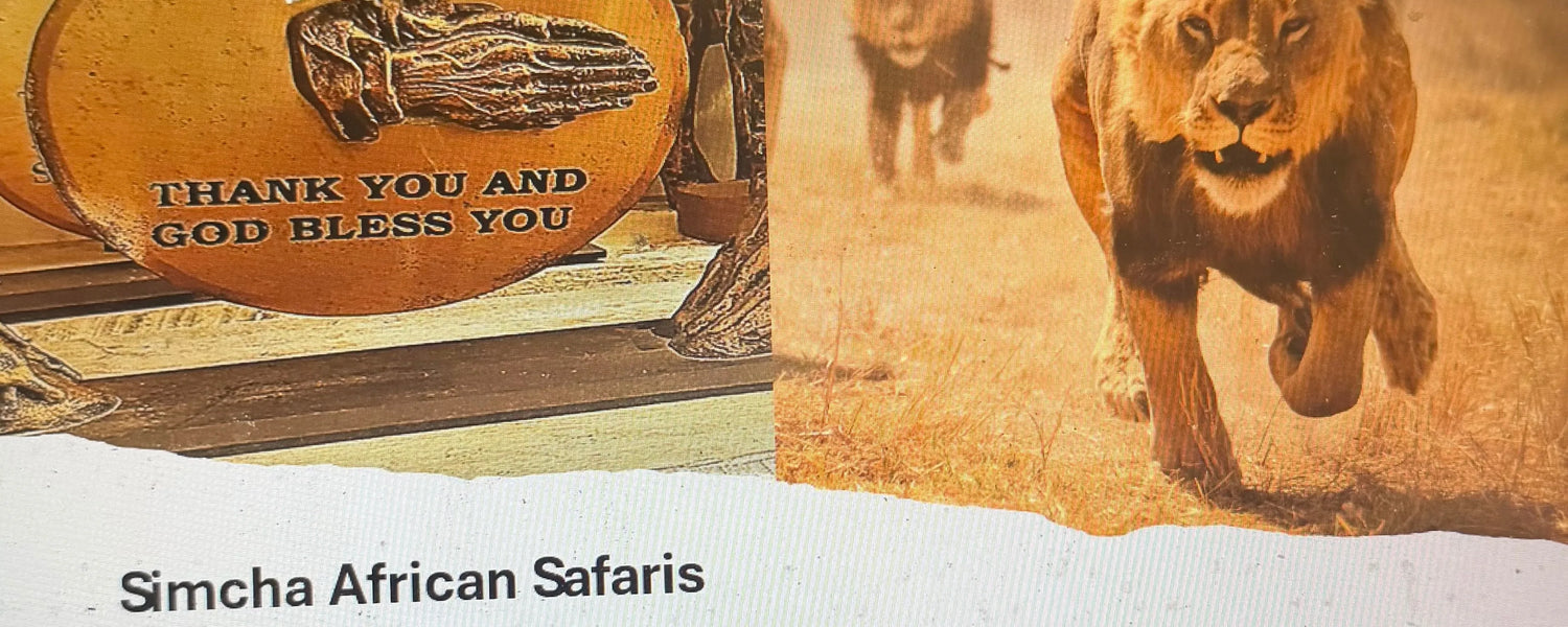 image comparison before