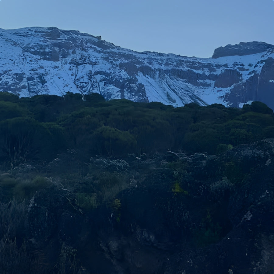 Best 7-day Kilimanjaro Machame Route