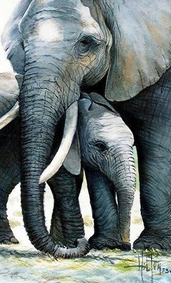 Elephant Canvas Painting. Oil painting. Elephant family.